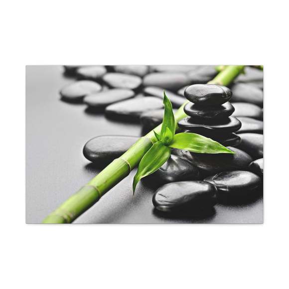 Basalt Stones on Black Forest Floral Nature Photography Canvas Wall Art for Home